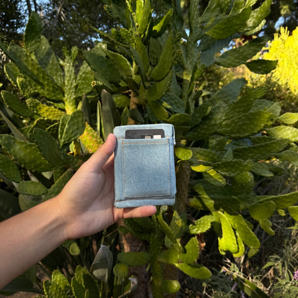 CHOSHORTS 1/1 — BLUE AGAVE